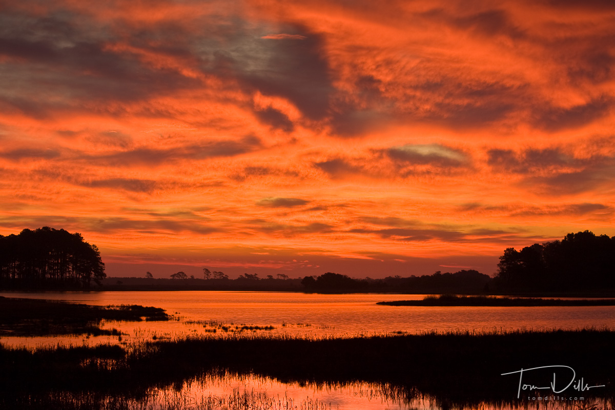 Sunrise over Swans Cove Pool, Chincoteague National Wildlife Refuge, Assateague Island, Virginia