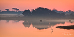 Sunrise at Swan Cove Pool, Chincoteague Island National Wildlife Refuge, Assateague Island, Virginia