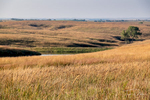 Willa Cather Memorial Prairie Historical MarkerOverlook on US-281 near Red Cloud, Nebraska