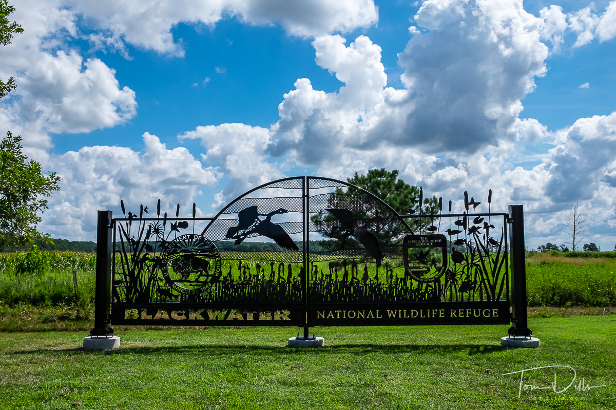 Visitor Center at Blackwater National Wildlife Refuge, Maryland