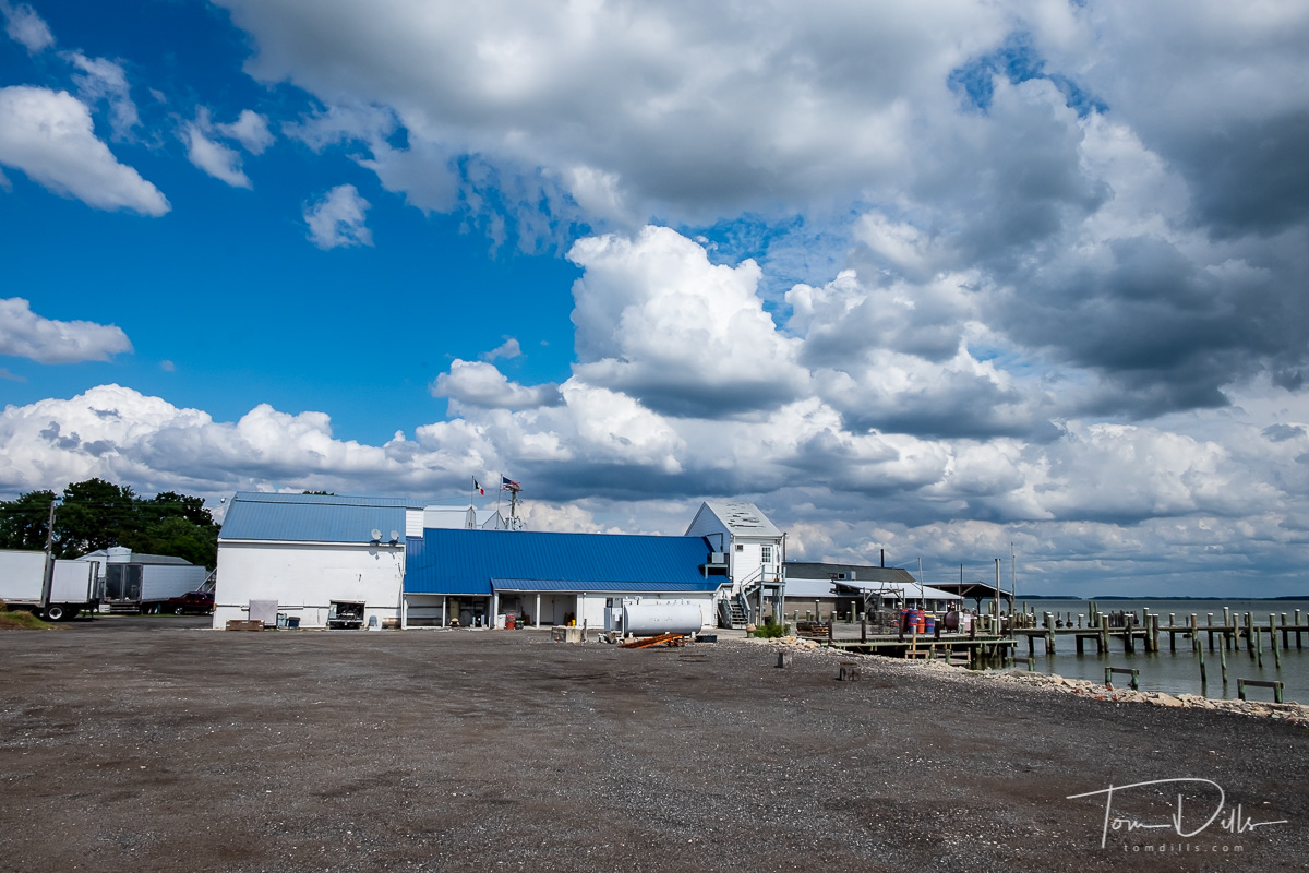 Hoopers Island Oyster Company and Russell Hall Seafood in Fishing Creek, Maryland