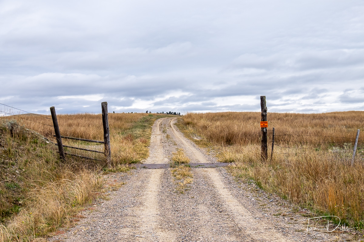 Rural countryside along SR 47 near Custer, Montana