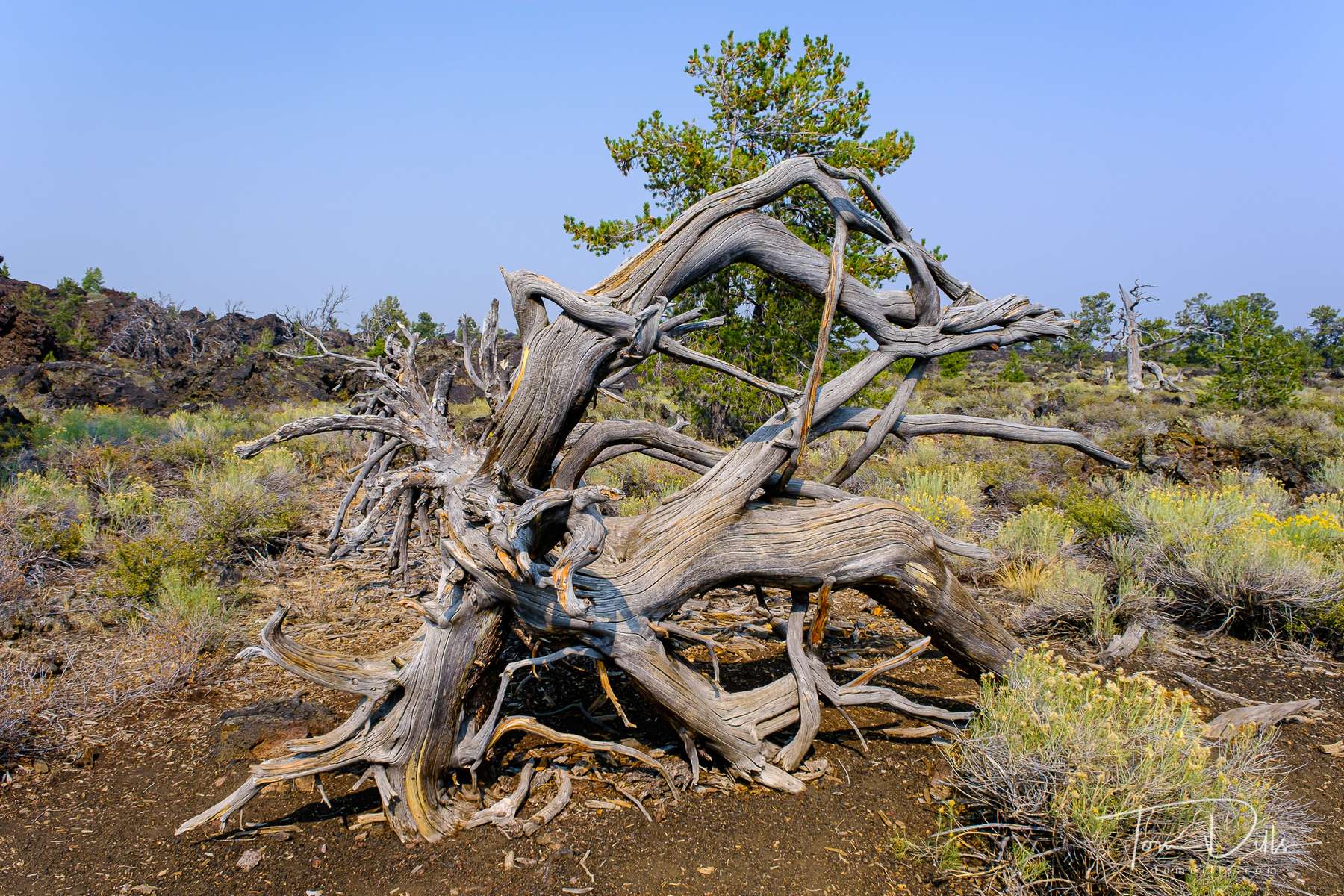 Craters of the Moon National Monument and Preserve near Arco, Idaho