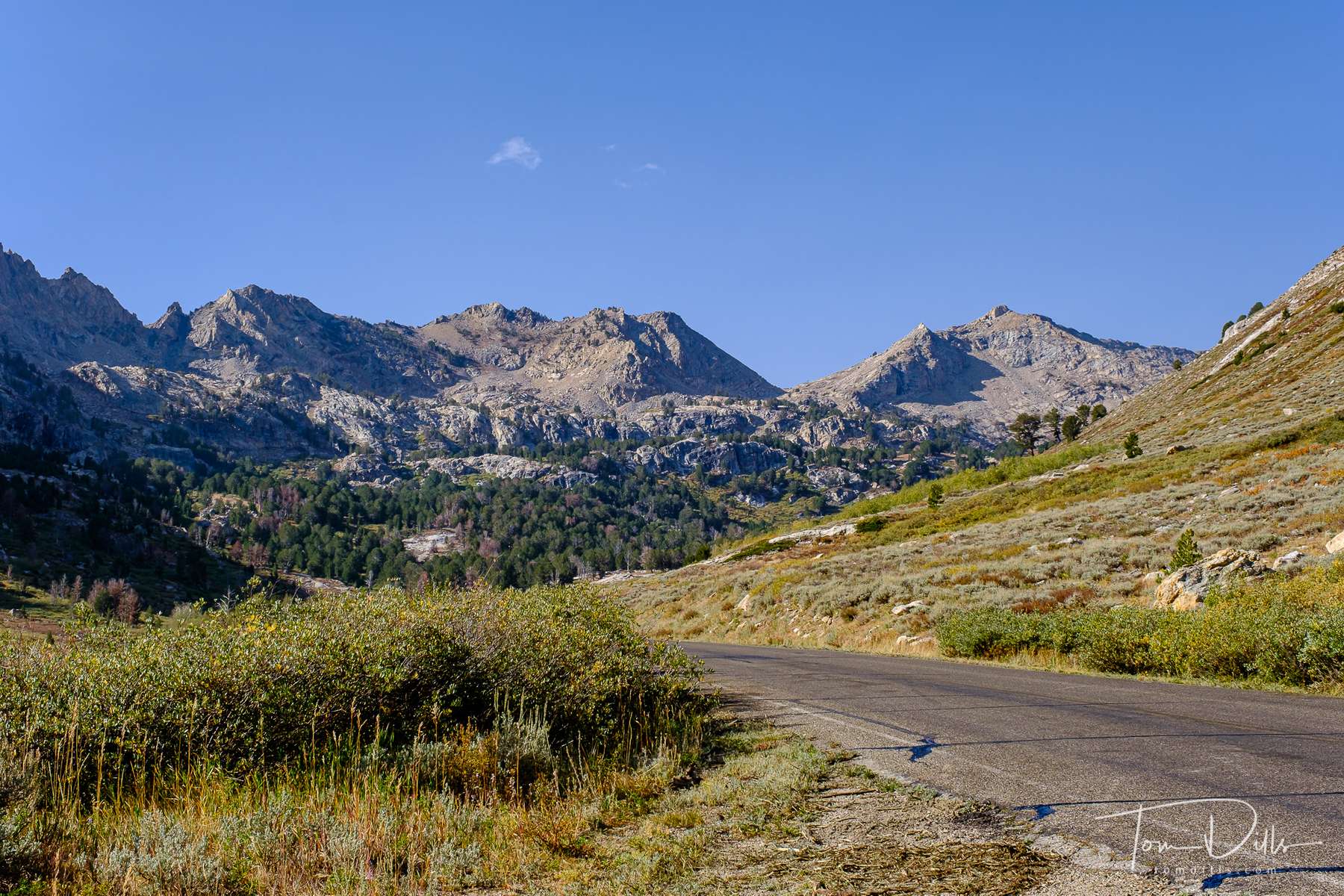 Lamoille Canyon Scenic Byway, part of the Humboldt-Toiyabe National Forest in eastern Nevada near Elko
