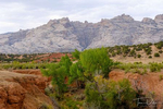 Scenic views from Cub Creek Road in Dinosaur National Monument