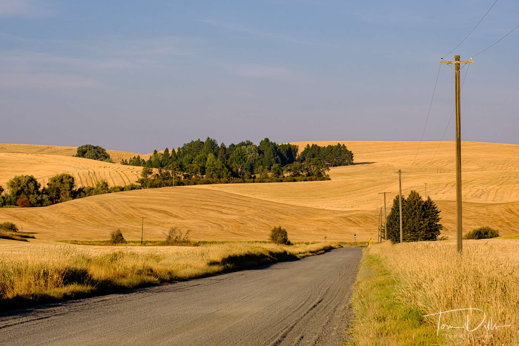Rural scenery in The Palouse area of eastern Washington north of Pullman, Washington