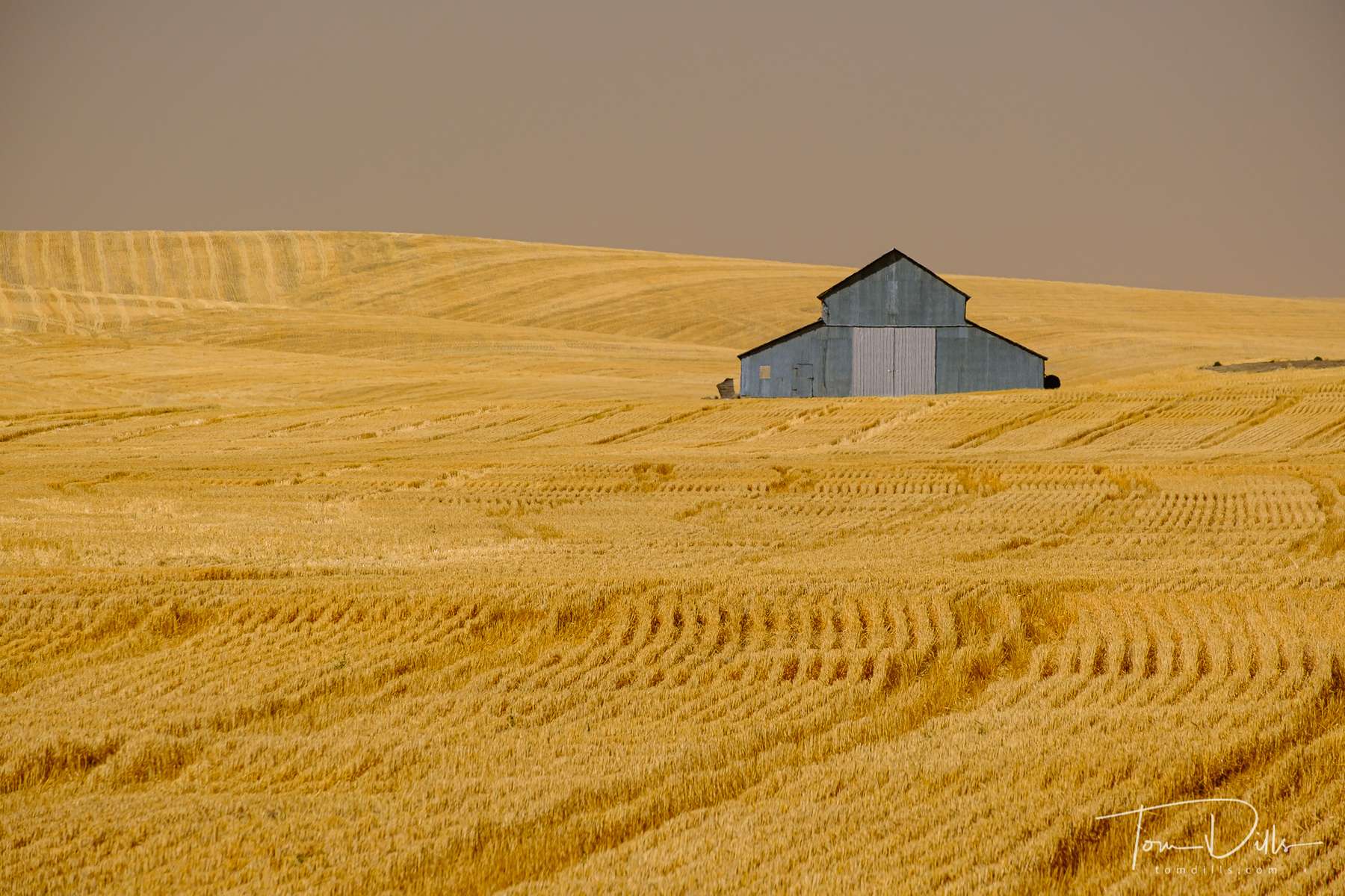 Rural countryside along SR 26 in southeastern Washington