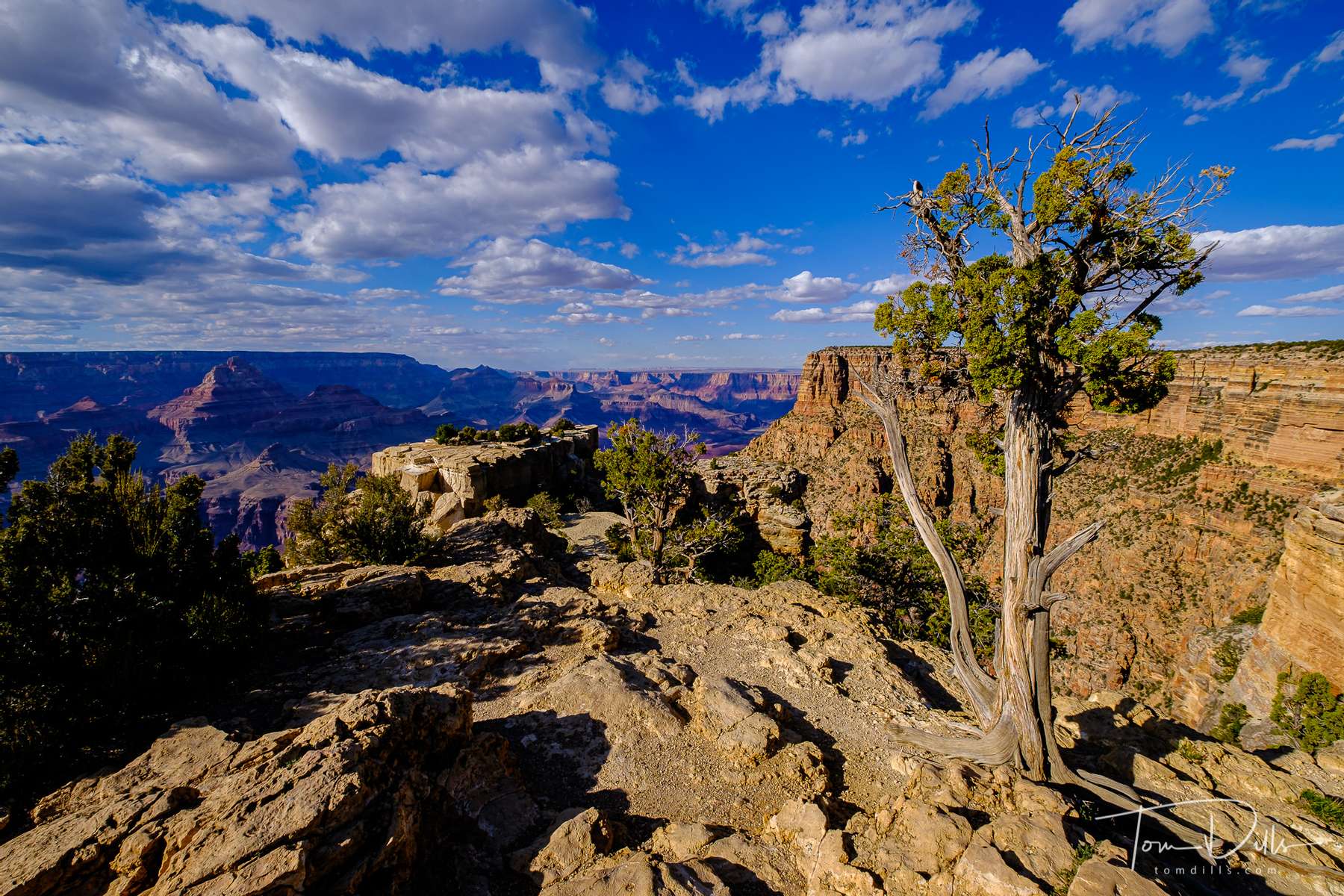 Desert View Watchtower area of Grand Canyon National Park, Arizona