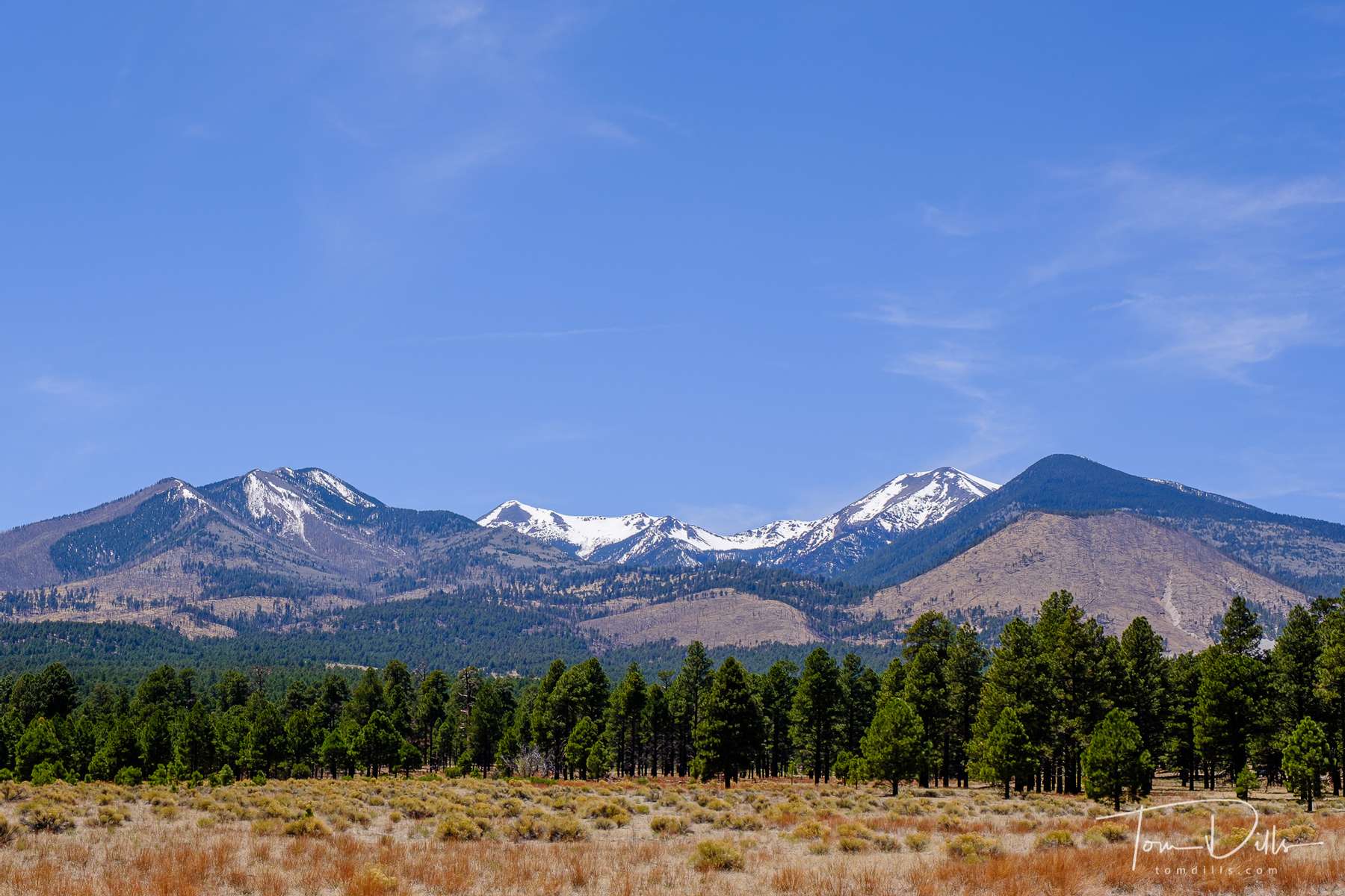 View of the San Francisco Peaks range near Flagstaff, from Sunset Crater Volcano National Monument in Arizona