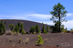Sunset Crater Volcano National Monument in Arizona