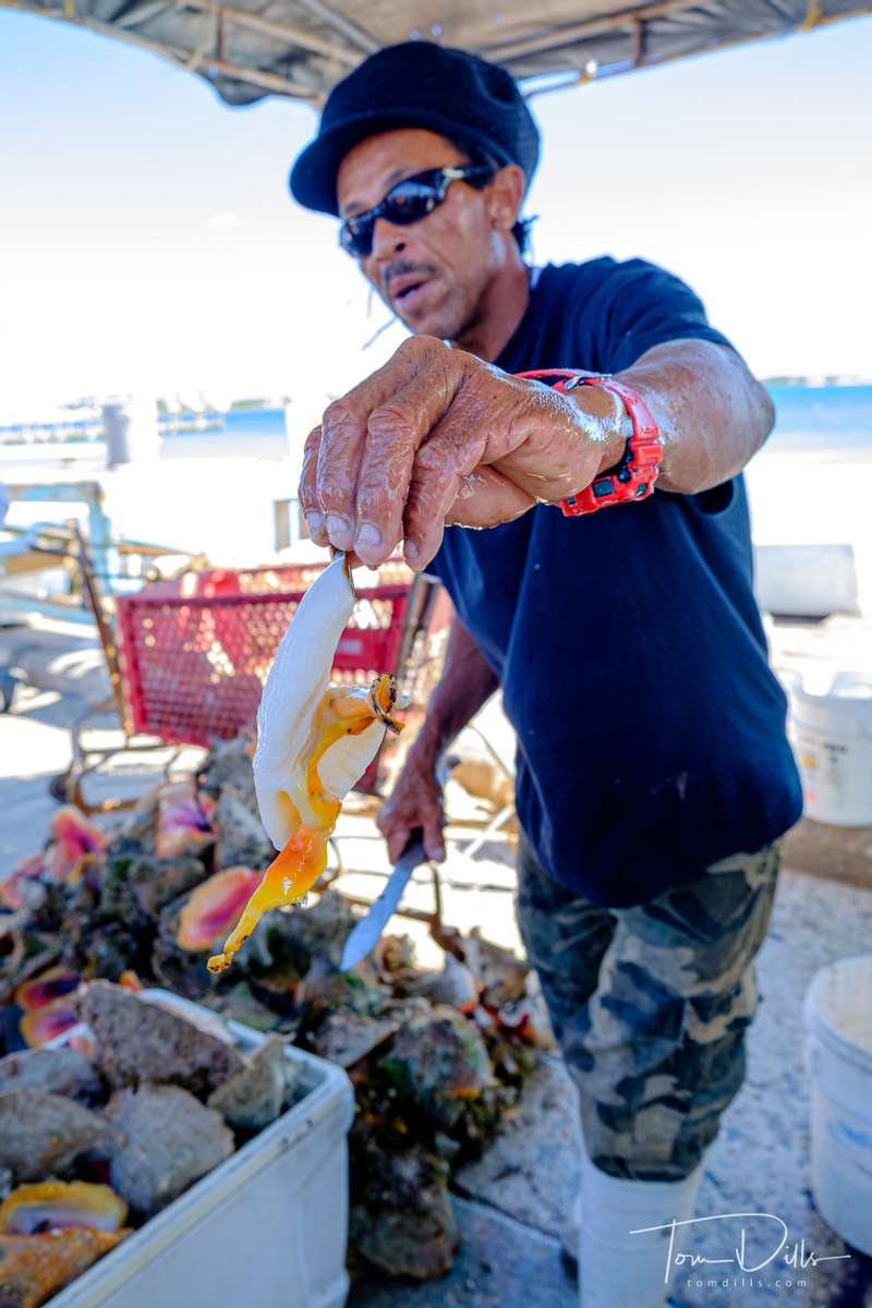 Preparing and sampling fresh conch and conch salad during our Chef's Market Tour shore excursion in Nassau, Bahamas