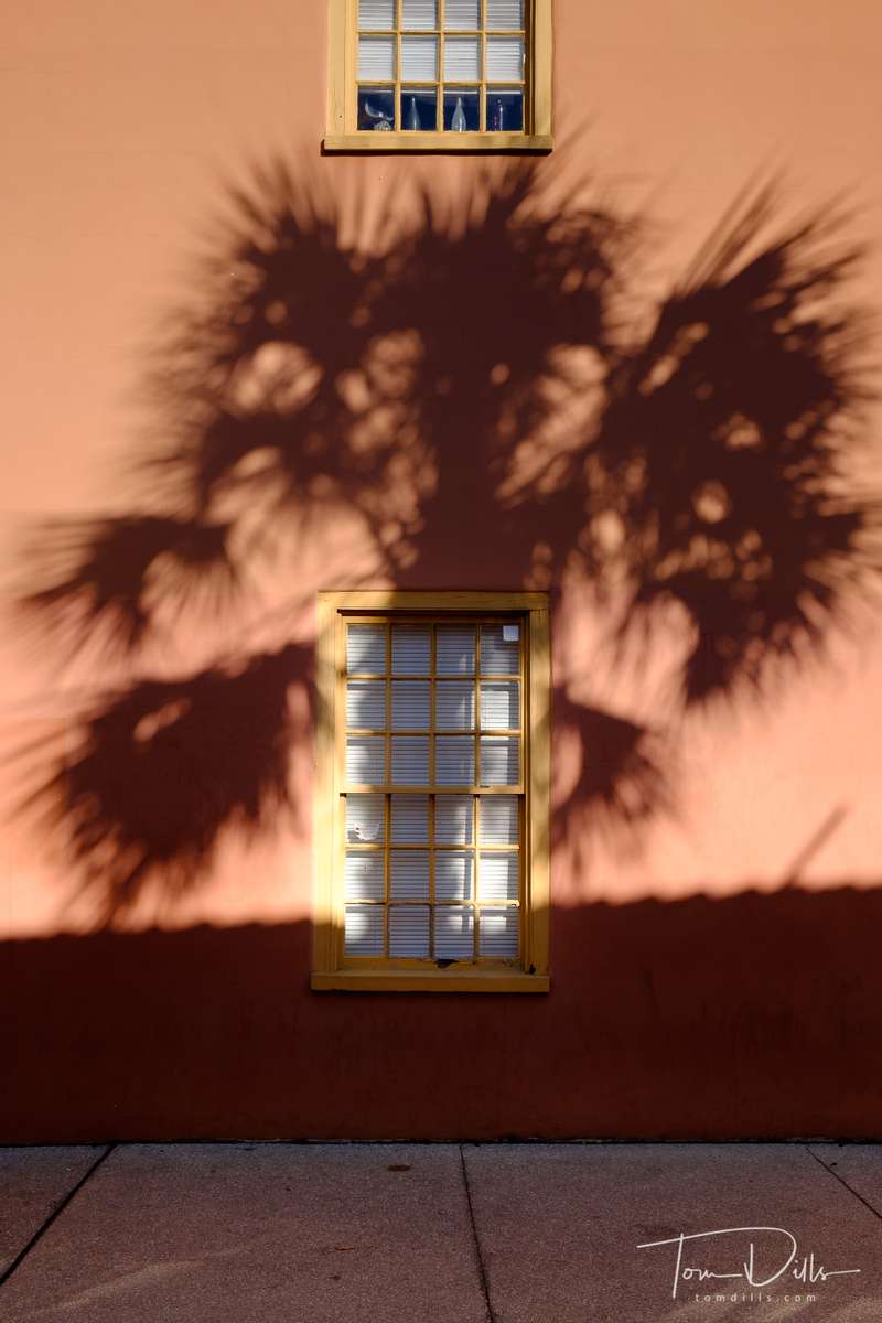 Palm shadows, St. Augustine Florida