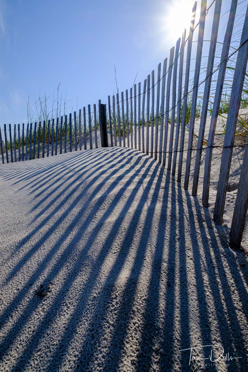 Drift fence shadows on the beach in Hilton Head Island, South Carolina