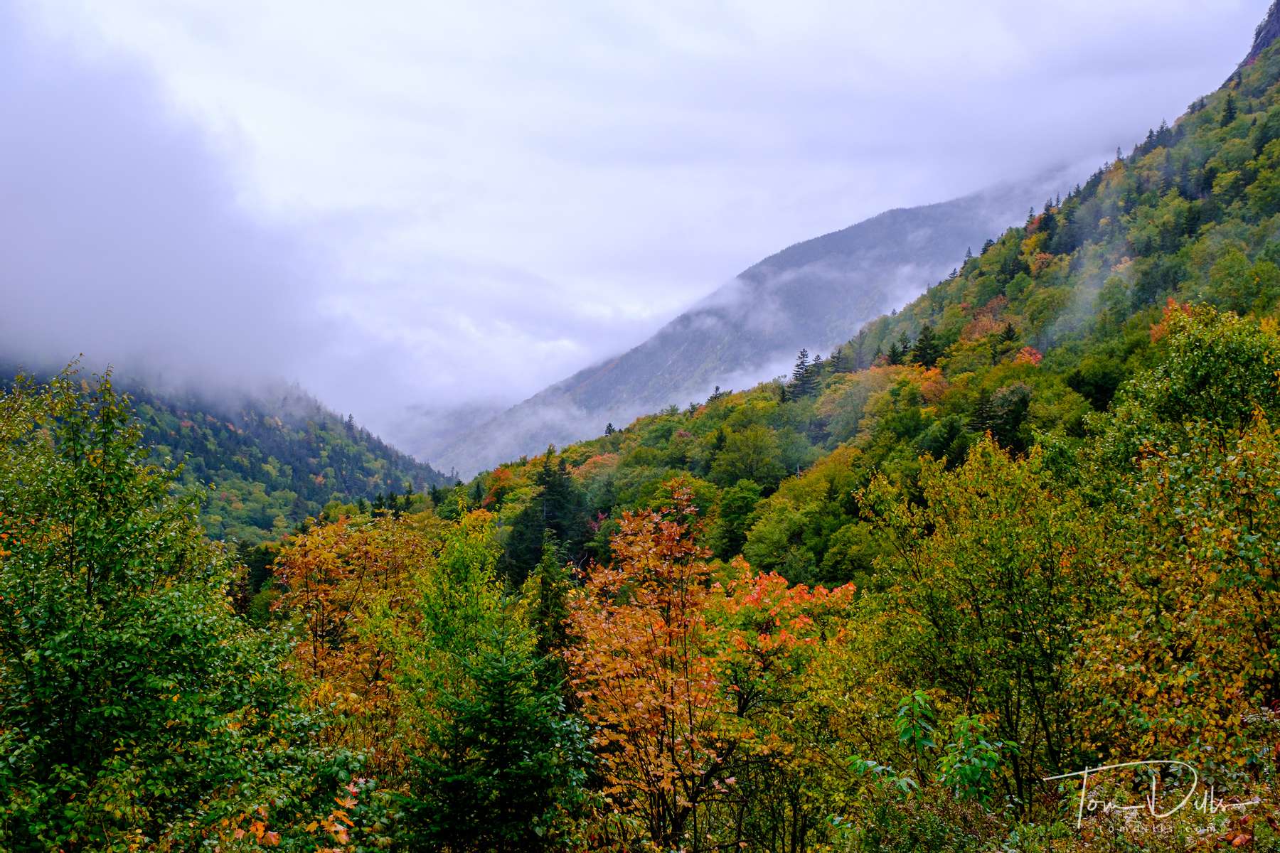Fall foliage along US 302 near Bretton Woods, New Hampshire