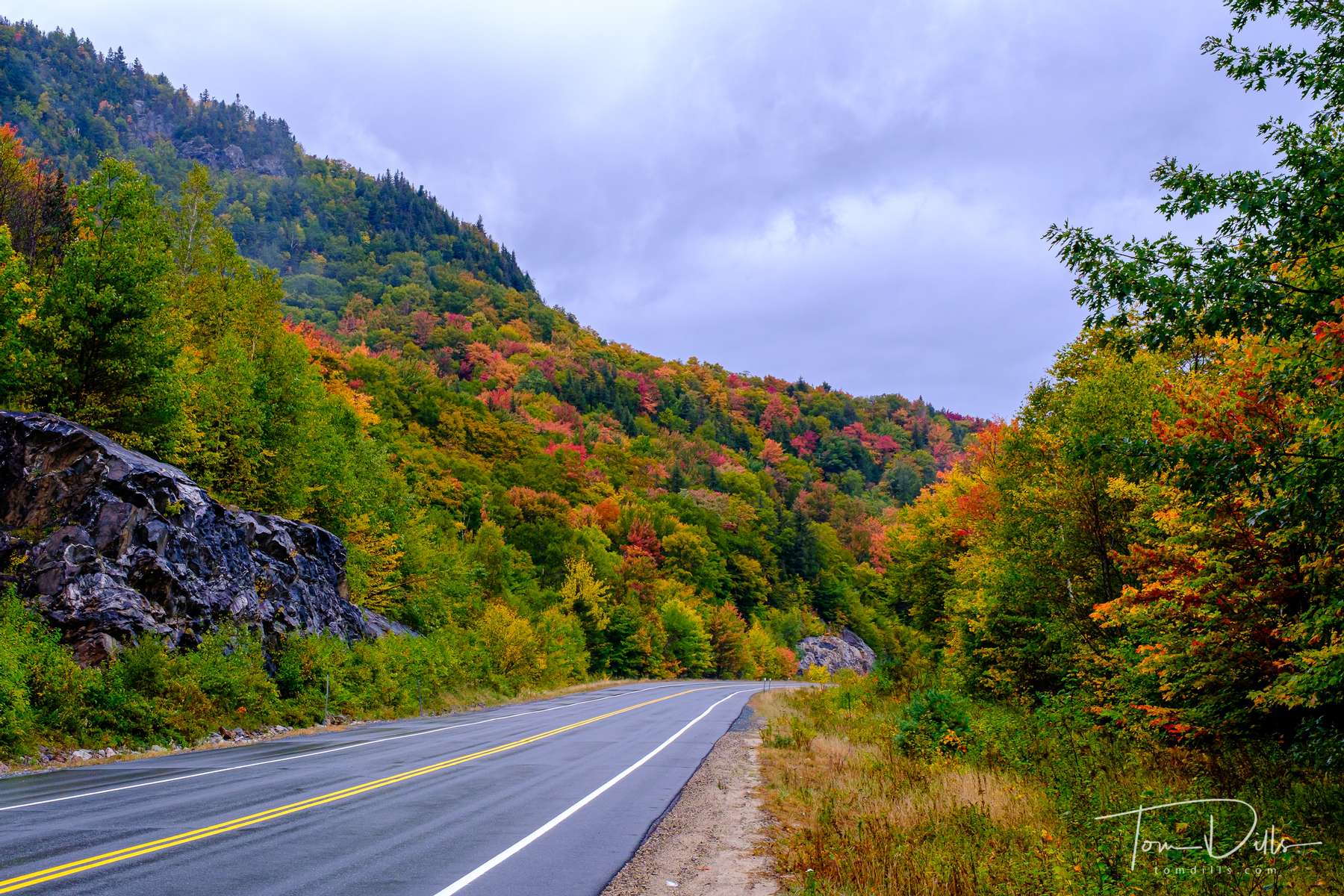 Fall foliage along SR 112 near North Woodstock, New Hampshire. In White Mountains National Forest