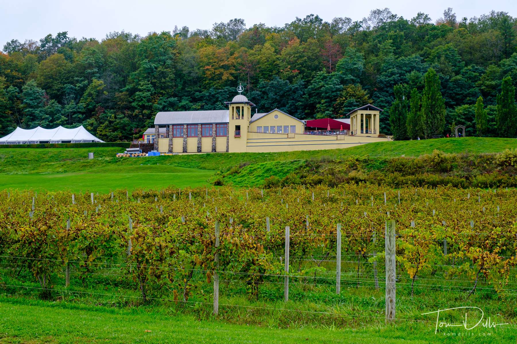 Heron Hill Winery near Hammondsport, New York
