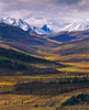 The Tombstone Valley in the Northern Yukon. This is a portion of the winter range of the Porcupine Caribou herd. Although not nearly as well know as the breeding grounds in ANWR this area to is also threatened ny the possibility of mining and pipeline development.