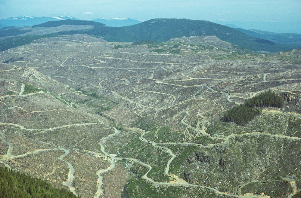 Extensive cearcutting in the San Juan Valley on southern Vancouver Island near Victoria. This image is from my first assignment. The Globe and mail contacted the B.C. chapter of the Sierra Club when they wanted a photographer to accompany their writer on a flight over Vancouver Island. The Sierra Club recommended me and I shot my first assignment and my first aerials.This image was used extensively with the title {quote}Brazil Of The North{quote} to bring international attention to B.C. logging practices. In the middle foreground, a once productive salmon stream can be seen.
