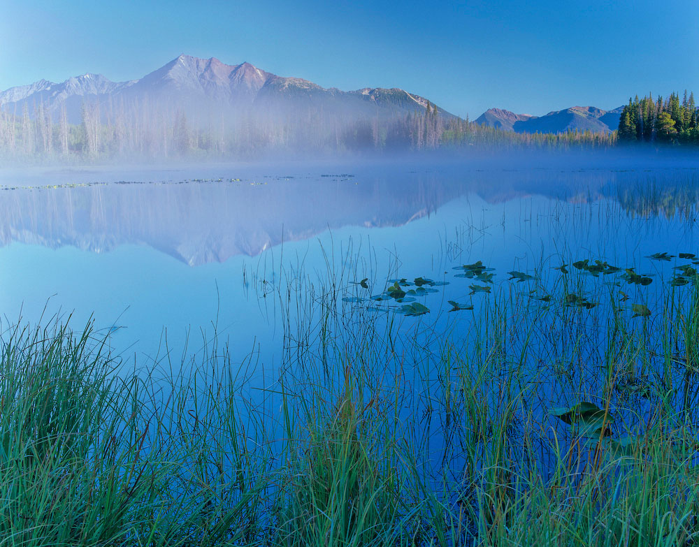 Dawn on a small lake in the South Chilcotin Mountains. After a Fifty+ year campaign, the South Chilcotin Mountains were finally protected as the last act of the NDP provincial government of B.C. The replacement {quote}liberal{quote} government overturned the legislation leaving the area once more open to continued degradation from industrial clearcutting, mining exploration, and hydro electric development.