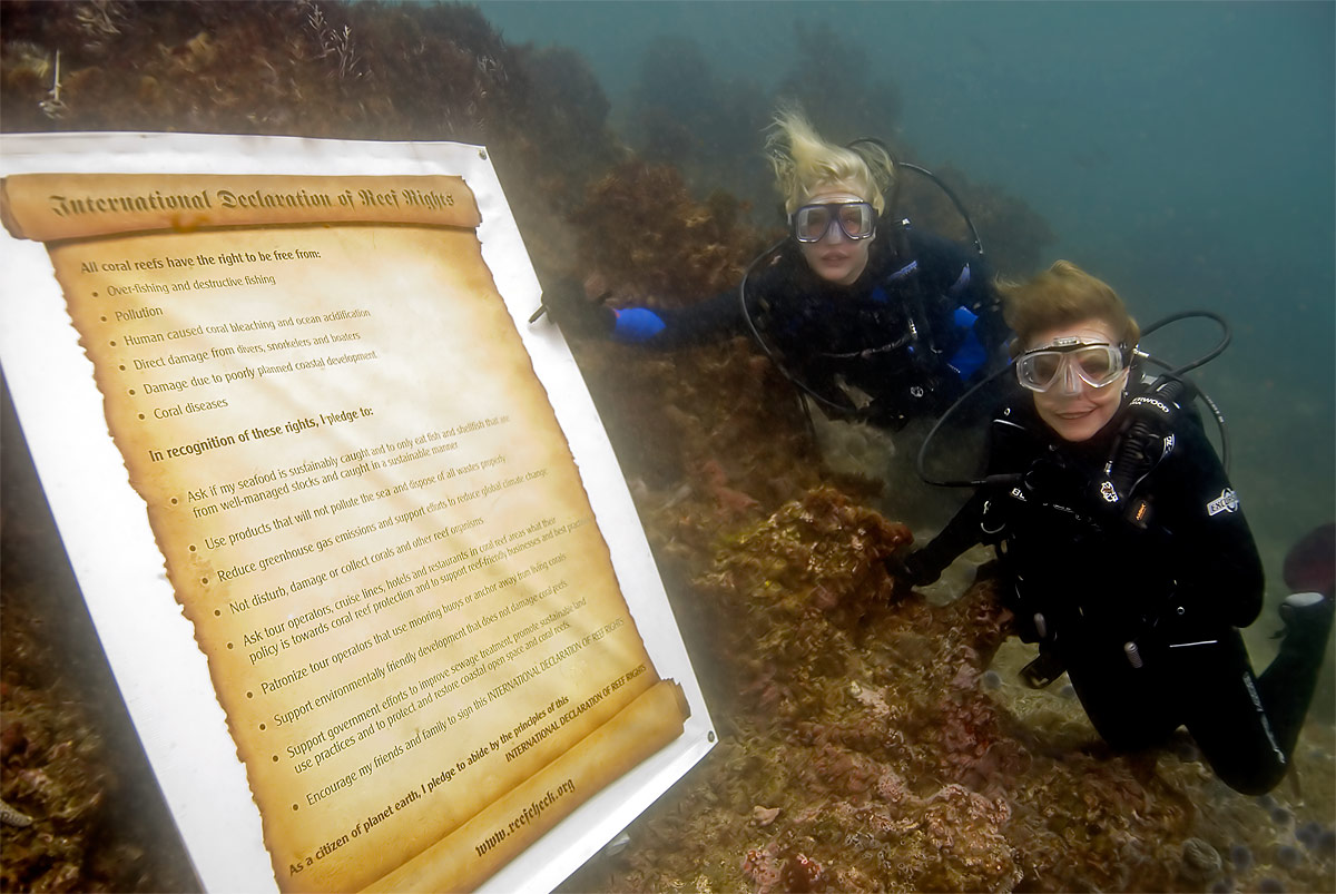 To kick off the International Year of the Reef (2008) Reef Check International (www.reefcheck.org) had Daryl Hannah (actress, environmental activest, diver) and Dr. Sylvia Earle (oceanographer, explorer, author) sign the Internation Reef Rights Declaration.Reef Check showed up with a giant document and we went in.  I took some test shots, then had Daryl and Dr. Earle come down and sign the document with an underwater pencil.  It was a great moment.Then, they took off!   The signing took about 8 or 9 minutes, then they just took off.  I went to the Executive Director and motioned, {quote}I need to follow the talent{quote} so I dived with the two of them for about 35 minutes as they played and explored the reef.Someone handed Dr. Earle a small octopus, she handed it to Daryl.  It inked and darted away as we all laughed.  For the next half-hour, the two of them went into their own world of silent exploration.  Dr Earle brought down a little camera, and had Daryl take pictures of her, and vice versa.  At the end of the dive, Daryl didn't want to get out of the water.  She doffed the Scuba gear and floated on her back in her fins and wetsuit like red-footed otter.  I took so many shots of the dive I filled an entire card.It was 40 minutes I'll never forget.