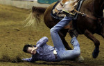  March 11, 2012 - Seth Mallett, of Greenbier, Ark., collides with the ground while competing in the steer wrestling portion of the Tennessee High School Rodeo Association's Tennessee Challenge at Showplace Arena on Sunday. (Mike Brown/The Commercial Appeal)