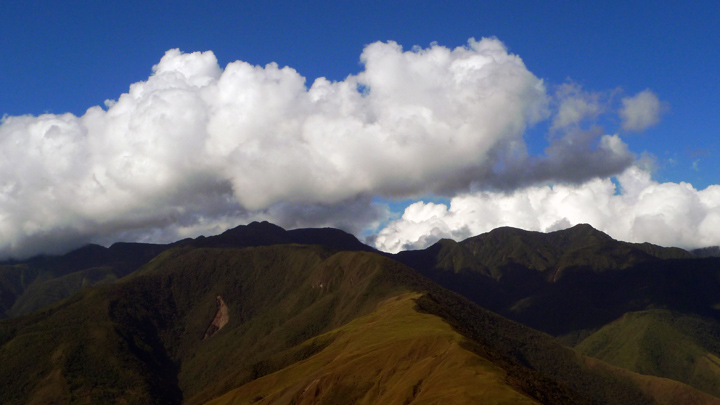 The Yungas Valley - home to Afro-Bolivians. 