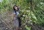 Ana Egampash Wakiu, 35, an Awajun farmer, assists a friend who grows corn, bananas, yucas, mani and sachapapa in this area. 