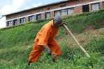 A 49-year old male inmate, dressed in an orange prison outfit, is bent over pulling up weeds; he's holding a long-handled gardening tool.