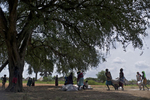 South Sudanese who have been living as internally displaced people (IDPs) gather under a large tree to distribute their monthly food rations. Thousands of South Sudanese became internally displaced refugees in Jonglei and Juba following the outbreak of fighting between forces loyal to South Sudan president Salvar Kiir and his ex-vice president Rick Machar in December 2013. 