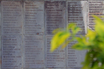 A portion of a memorial wall is shown (with plant leaves in the foreground) that list the names of victims.