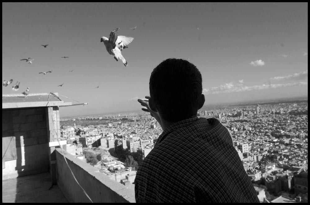 Fahed Kream lets one of his 30 pigeons free as they fly around their roost at his home in the Mahagren neighborhood in the northern area of Damascus. The neighborhood is set high on a hill above the city and consists of run down houses and narrow passageways.