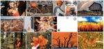 On a lighter, but still conceptual note, a photo + illustration gallery based entirely on the color orange  |  Photo research + edit for Shutterstock, 2022