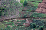 Terrace farming, which helps decrease erosion and surface runoff, is seen on November 15, 2017 in the Rulindo District, Rwanda. Wood gathering causes much of the deforestation and soil erosion in the country. Nearly half of all Rwandans live in poverty, relying on small-scale farming for survival without gas or electricity. With so many women and children spending hours of the day foraging for wood used for cooking and light, often damaging their eyes, lungs, the forests and atmosphere, a little inventiveness helps. Enter cow and enter pig -- not just as a source of food, but also the heat needed to cook it. Or more specifically, their poo -- the fuel fed to a biogas digester, a tank that converts organic waste into methane. 