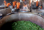 Prisoners cook food via peat and biogas at Rwamagana Prison in Rwamagana, Rwanda, on November 18, 2017. All of Rwanda's prisons use their prisoners' waste - in addition to that of cows - to fuel their kitchens via biogas. At Rwamagana, biogas is used to cook corn, and peat cooks rice and beans. Many prisoners say they can usually tell when biogas is used due to the lack of smokey flavor in food. Nearly half of all Rwandans live in poverty, relying on small-scale farming for survival without gas or electricity. With so many women and children spending hours of the day foraging for wood used for cooking and light, often damaging their eyes, lungs, the forests and atmosphere, a little inventiveness helps. Enter cow and enter pig -- not just as a source of food, but also the heat needed to cook it. Or more specifically, their poo -- the fuel fed to a biogas digester, a tank that converts organic waste into methane. 