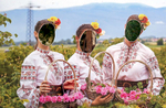 Entering the Institute for Roses and Aromatic Plants, a research and agriculture academy in Kazanlak, a town in The Rose Valley of Bulgaria, on June 04, 2018. The life-size pictures are meant for tourists who want to photograph themselves within the facial cutouts.Photo by: Yana Paskova for National Geographic Traveler
