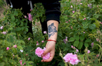 Yoana Mircheva, 16, picks roses in rose gardens in Maglizh, Bulgaria, on May 25, 2018. Mircheva has a tattoo of a rose on her left arm, that she says she got because her paternal grandfather loved roses. Photo by: Yana Paskova for National Geographic Traveler