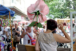 Crowds fill the town center lined with vendors selling rose merchandise after {quote}The Wisdom of the Rose{quote} parade, which is a part of the Rose Festival, on June 03, 2018 in Kazanlak, Bulgaria. The festival, situated in the Rose Valley of Bulgaria, celebrated 115 years in 2018. Photo by: Yana Paskova for National Geographic Traveler