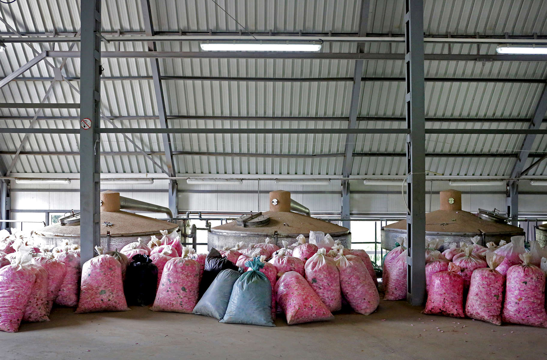 Bags of roses arrive to Lema distillery in Kazanlak, Bulgaria on May 24, 2018. Each of its caldrons has a 5 ton capacity, and it takes 3 to 5 tonnes of roses to produce just 1 kg of rose oil. Lema, a family-owned rose plantation and production facility of over 40 years, produces mainly rose oil, rose water, lavender oil, and souvenirs. Photo by: Yana Paskova for National Geographic Traveler