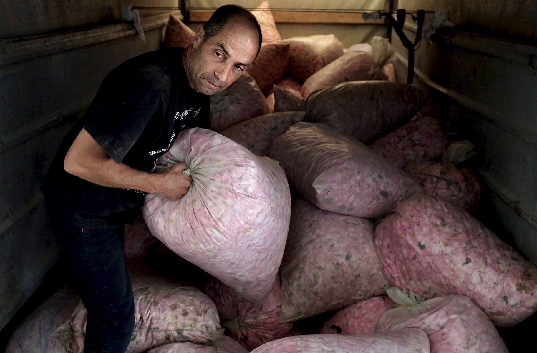Stanimir Alexandrov, 54, delivers bags of roses to Lema distillery in Kazanlak, Bulgaria on May 24, 2018. Each of its caldrons has a 5 ton capacity, and it takes 3 to 5 tonnes of roses to produce just 1 kg of rose oil.Photo by: Yana Paskova for National Geographic Traveler