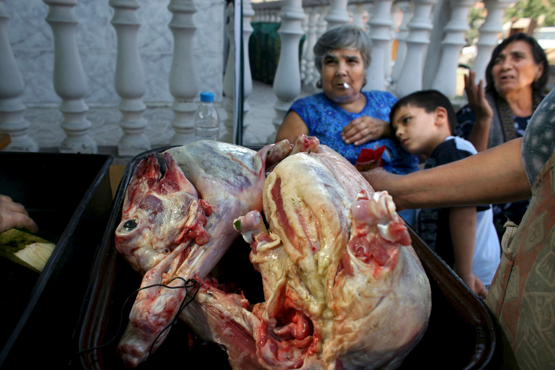A lamb is prepared during a Roma wedding in Northwest Bulgaria in August 2008. 