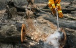 First year CFA firefighter Ash Lewis uses a rakehoe to mop up the remains of a bushfire near Jamieson. The bushfire, part of the Great Divide North fire, had been burning for more than two weeks in large expanses of northern Victoria. 