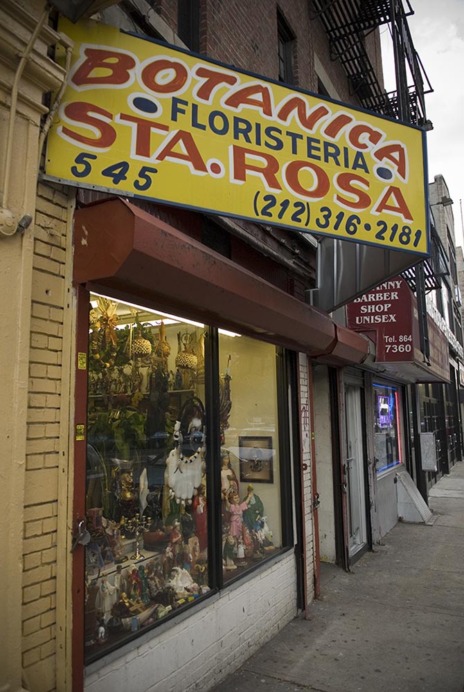 Botanica Santa Rosa is located on 125th street in Harlem. Santa Rosa is a flower shop as well as a Botanica. Flowers and plants are often incorporated into rituals and alters in many Afro Caribbean religions.