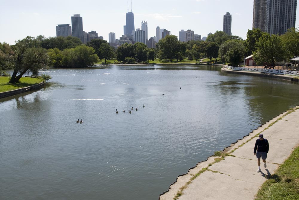 The South Pond and Chicago skyline.  