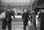 The Lincoln Park Zoo Ball.  The annual black-tie fundraiser event for the zoo.  I was commissioned to create a single image that captured the event from the perspective of a {quote}street photographer{quote} in the classic Henri Cartier-Bresson tradition. 
