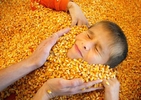 Bethalto West Elementary School fourth grader Chris Williams, 9, is buried in the {quote}Corn Crib{quote} play area at the Great Godfrey Maze during a school field trip. 