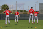 St. Louis Cardinals players go through morning exercises at the Cardinals spring training complex at Roger Dean Stadium in Jupiter, Fla. on Monday, Feb. 24, 2014.Photo By David Carson dcarson@post-dispatch.com