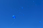 Blue balloons rise into the sky above Gilson Brown Elementary School in Godfrey on Thursday, Jan. 14, 2016 during emotional ceremony in memory of Romell Jones, a former student at the school. Romell, 11, was killed by a stray bullet fired from a passing car as he was waiting at the Alton Acres public housing complex for his basketball coach to pick him up for practice. All the students at the school gathered on the playground for a brief ceremony where Romell's fifth grade classmates released balloons in his memory and presented a few gifts to Romell's family who attended the event. Photo By David Carson, dcarson@post-dispatch.com