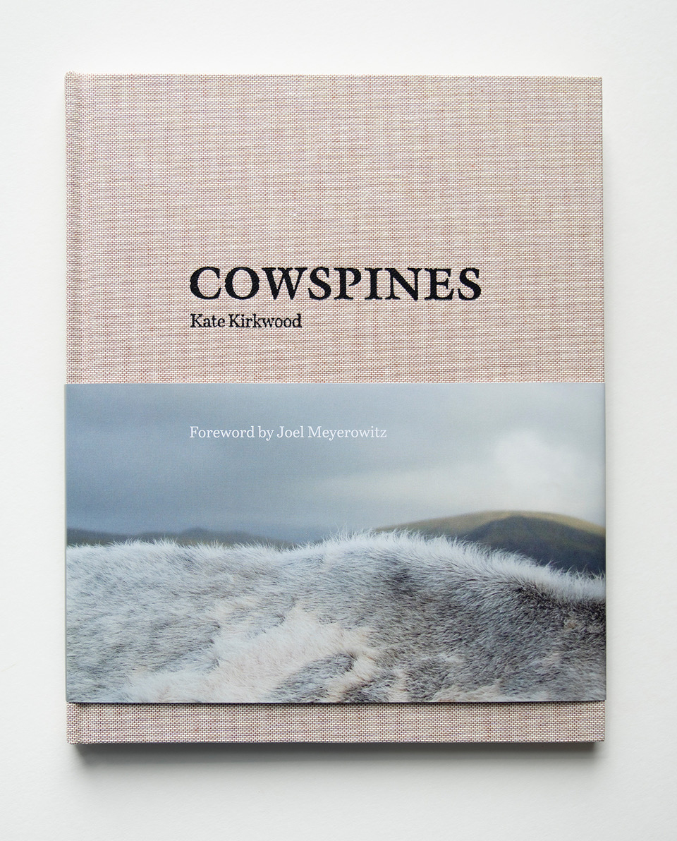 Publication of Cowspines, a collection of photographs from a long-term project considering cows in their landscape. (Ten O'clock Books.)