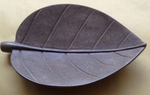 Stone-leaf