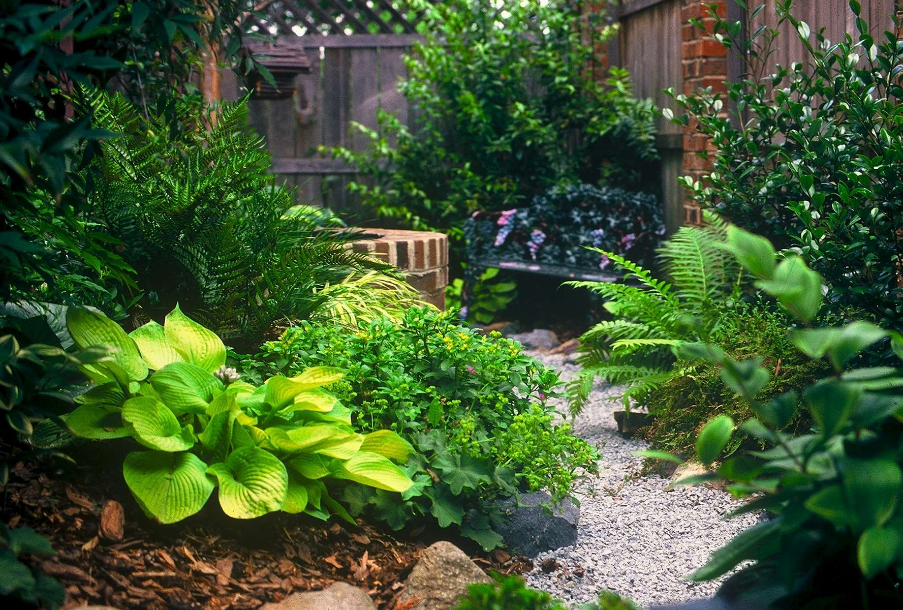 The winding crushed stone path meanders past lush hosta, ferns and heucheras, providing abundant sensory pleasure punctuated at its end with an endearing garden niche . . . a raised, circular fountain and wrought iron bench . . . just right for contemplating the good things in life!